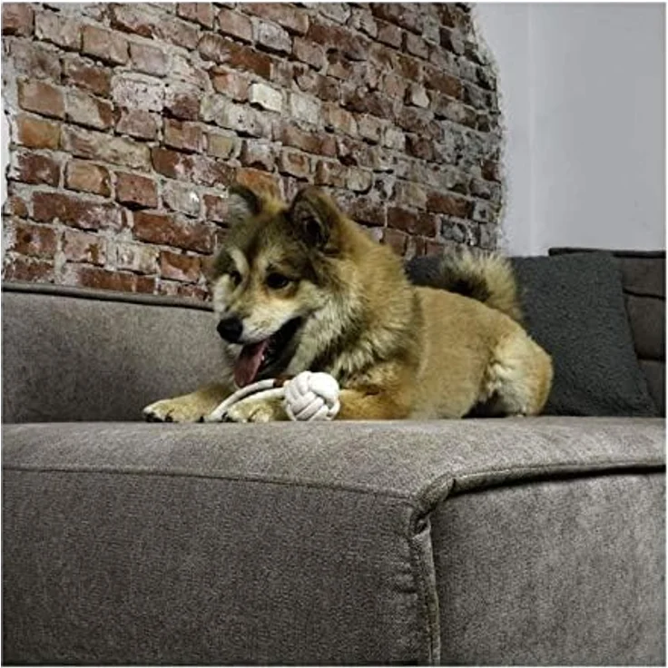 D&D Hundespielzeug Harper Ball mit Schlaufe beige, Ø 15 mm, aus Baumwolle, robust und interaktiver Spielspaß – Bild 4