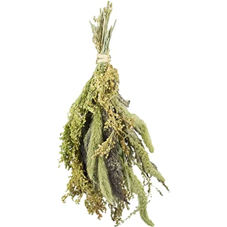JR FARM Birds Hirsen-Potpourri, 50 g natürliche Nahrungsergänzung für Vögel mit sonnengereiften Saaten, made in Germany – Bild 2