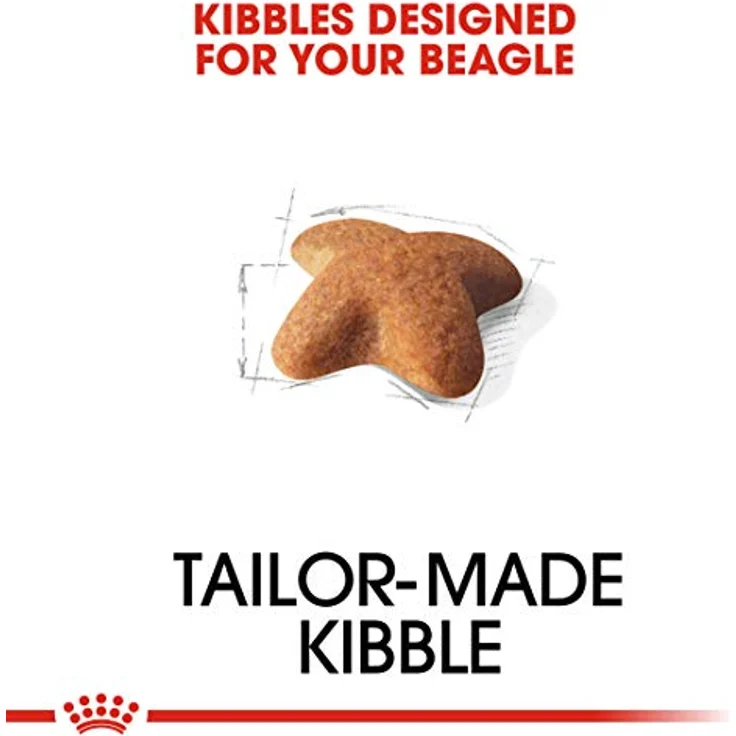 Royal Canin Beagle Adult, Hundefutter für ausgewachsene Beagle, 12 kg, unterstützt ideales Körpergewicht und Knochen- sowie Gelenkgesundheit – Bild 4