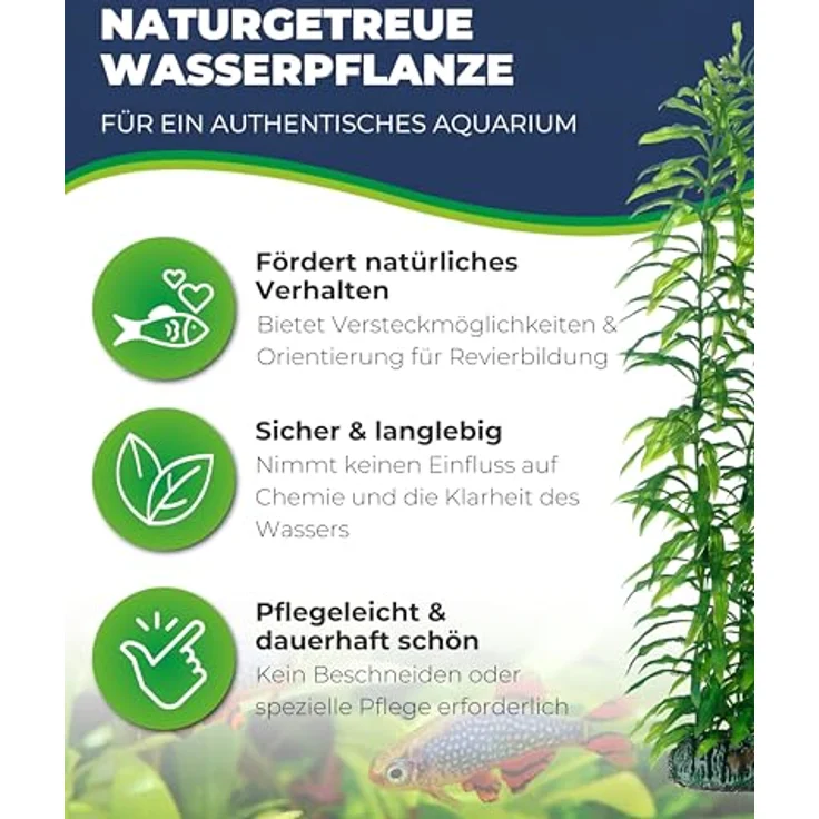 HOBBY Aquariendeko Heteranthera, künstliche Aquariumpflanze 34 cm mit natürlicher Bewegung und Felsenbasis – Bild 2