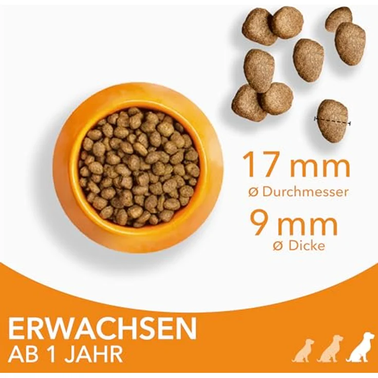 IAMS Hundefutter trocken mit Huhn, Trockenfutter für große Hunde ab 1 Jahr, 5 kg, weizenfrei, mit Omega 3 und 6, für gesunde Haut und glänzendes Fell – Bild 3
