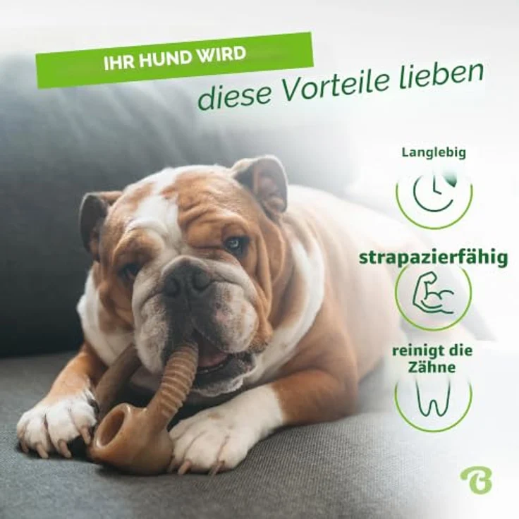 Benebone Ring, unzerstörbares Kauspielzeug für aggressive Kauer mit echtem Speckgeschmack, für kleine Hunde bis 30 Pfund – Bild 3