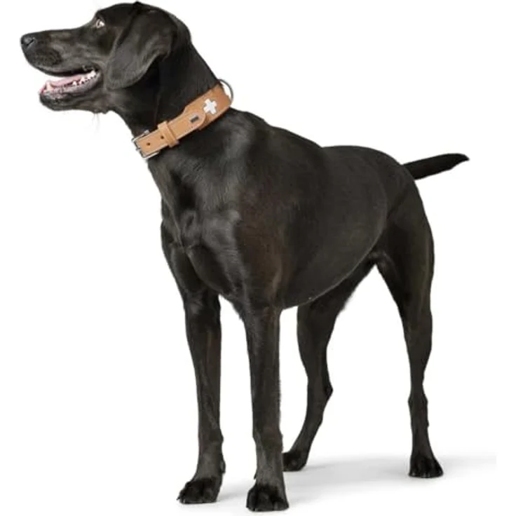 Hunter Hunde-Halsband Swiss natur XXS-XS – Bild 4
