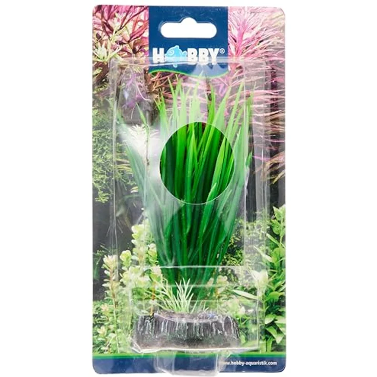 HOBBY Aquariendeko Cyperus, 16 cm künstliche Aquariumpflanze mit natürlicher Wasserbewegung und stabilem Halt – Bild 2