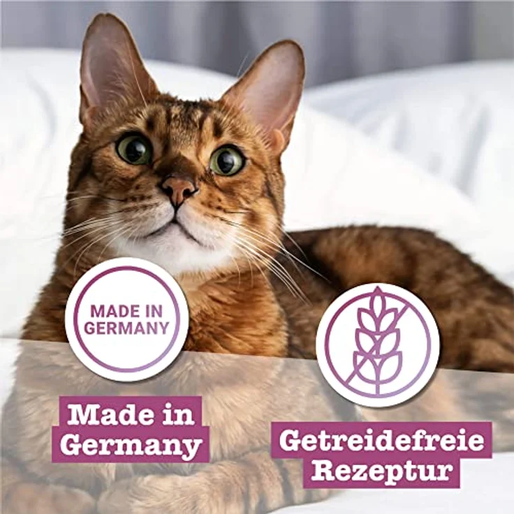 catz finefood Feinkost Katzenfutter nass Multipack 2, 6 x 400g Dosen mit Huhn, Thunfisch, Rind, Rotbarsch, Lamm, Garnelen und Wild, hoher Fleischanteil, artgerecht, hergestellt in Deutschland – Bild 4