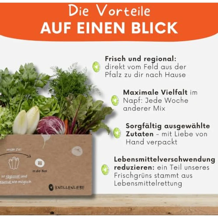 Knollenliebe Grünschmaus Kleintierbox 5 kg, frisches Salat- & Blattgemüse für Kaninchen und Meerschweinchen, wöchentlich saisonal zusammengestellt – Bild 3