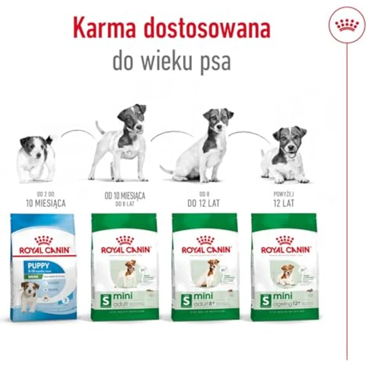 Royal Canin Mini Adult 8+, Hundefutter für kleine Hunde ab 8 Jahren, 8 kg Packung, ausgewogene Rezeptur für gesunde Vitalität – Bild 7
