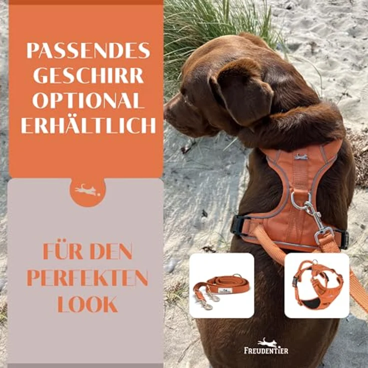 FREUDENTIER Hundeleine Model Clyde, 2m verstellbar, weich gepolstert, robust für mittelgroße & große Hunde, orange, 25mm Breite – Bild 5