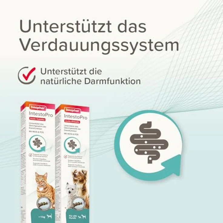 Beaphar IntestoPro Paste für Hunde, 2x20 ml, mit prebiotischen Inhaltsstoffen zur Unterstützung der Darmfunktion und köstlichem Fleischgeschmack – Bild 5