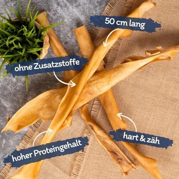 Lyra Pet® Rinderkopfhautstangen 50 cm, naturbelassener Kausnack, proteinreich, zahnreinigend, 10er Pack – Bild 2
