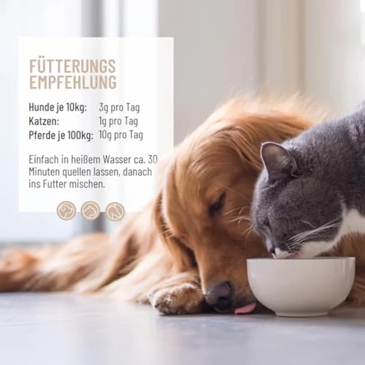 ReaVET Flohsamenschalen für Hund & Pferd 1kg - Naturrein, Ballaststoffreich, Glutenfrei, Ohne Zusätze – Bild 4