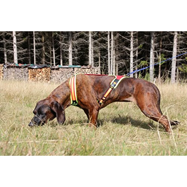 Niggeloh Hunde-Geschirr Hundeführgeschirr FollowTrail, spezialisiertes Arbeitsgeschirr in signalrot-signalgelb, Handgefertigt in Deutschland – Bild 5