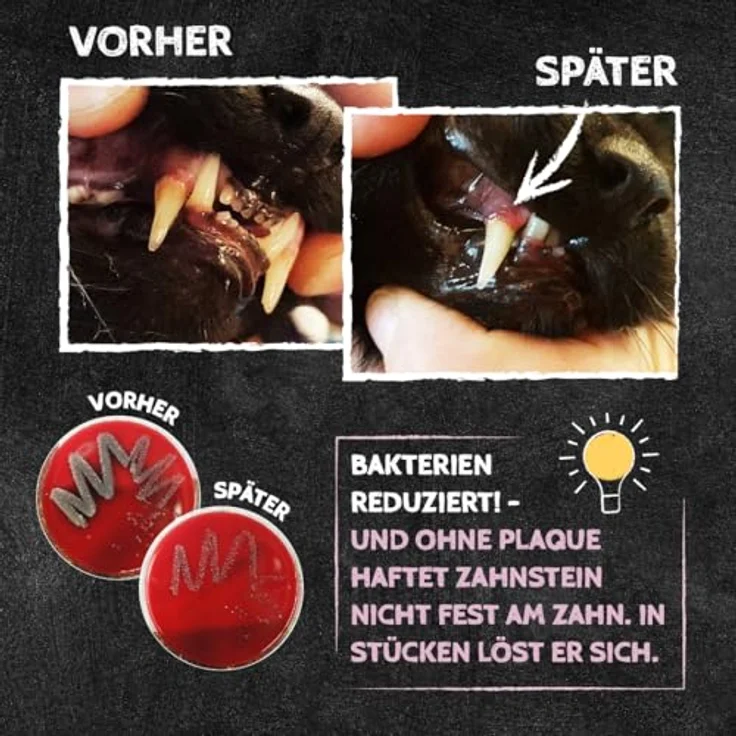 Qchefs Schleckmatte Felix, Zahnpflege Topping mit natürlichen Zahnputzflocken für Katzen, glutenfrei und hypoallergen – Bild 4