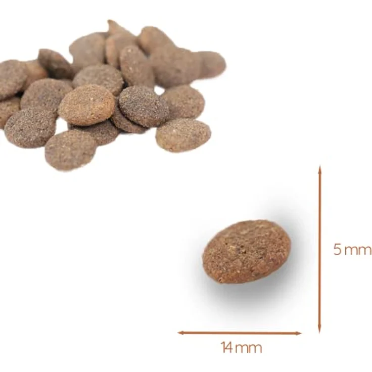 Wildfang® Hundefutter Premium Trockenfutter, getreidefrei, 50% Ente, 2x2 kg, mit Süßkartoffel und Orange – Bild 4