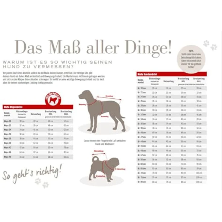 WOLTERS Regenjacke Easy Rain, Perfekter Regenschutz für Hunde, dunkelrot, Gr. 24 (Rückenlänge 23-25 cm) – Bild 2