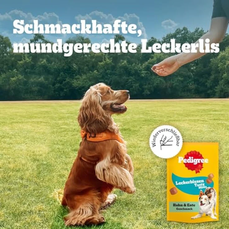 Pedigree Leckerbissen Kau-Happen mit Huhn, 130g, Hundesnack mit Vitaminen für alle Lebensphasen – Bild 9
