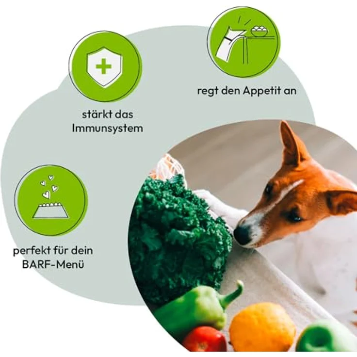 GRAU Trockengemüsemischung zum BARFen für Hunde, Mischung Nr. 2 mit Karotten, Rote Bete, Zucchini und Pastinaken, 1,2 kg – Bild 5