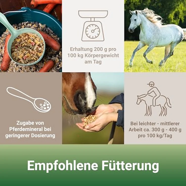PANTO Seniormüsli mit Wisan-Lein 20 kg – verdauungsförderndes Kraftfutter mit Omega-3 Fettsäuren für ältere Pferde – Bild 4