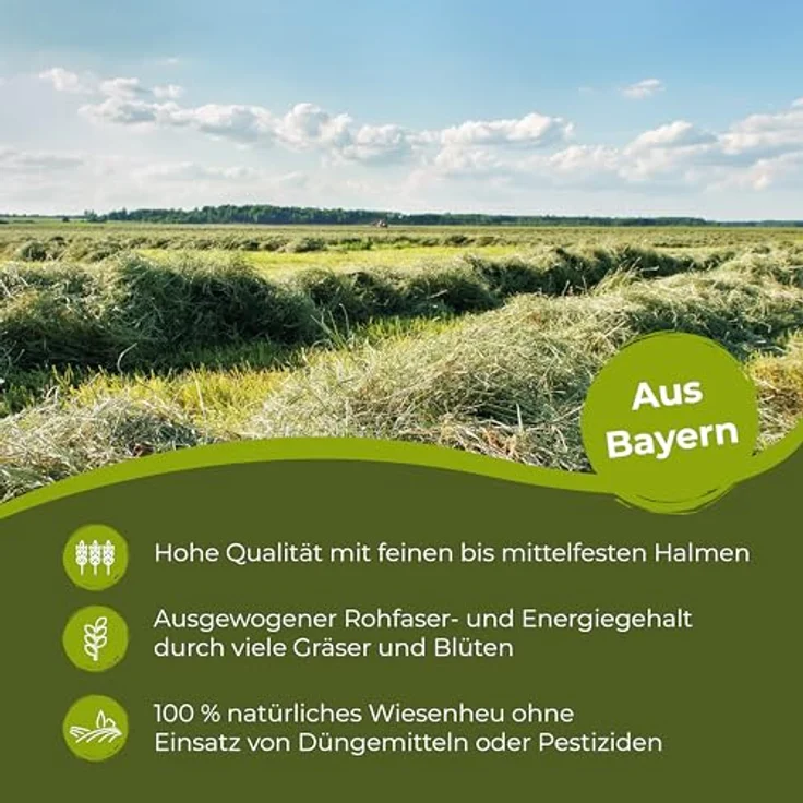 Bolson Wiesenheu, frisches & unbehandeltes 1. Schnitt Heu, 15 kg mit Gräsern & Blüten aus Bayern, ideal für Fütterung & Einstreu von Kaninchen und Hamstern – Bild 4