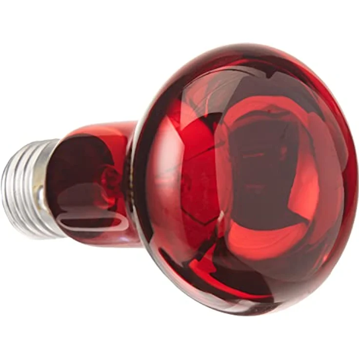 Trixie 76096 Infrarot Wärme-Spotlampe, 75 W, Durchmesser 63 mm für Terrarienwärmeregionen – Bild 2
