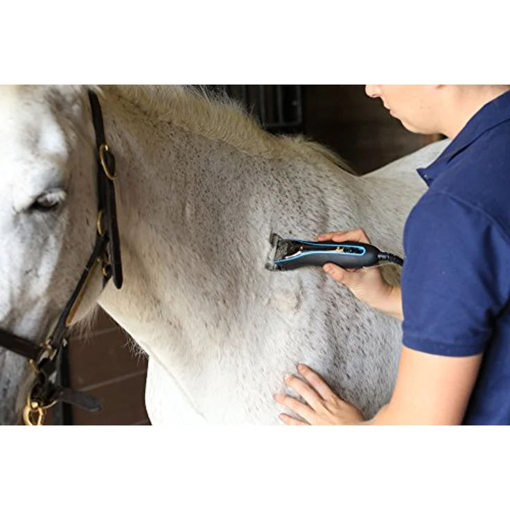 Oster Hundescherkopf Typ 919-446, Ersatzklinge für Motormaschine, 10 breit, 2,4 mm, kryogenisch gehärtet für längere Haltbarkeit – Bild 4