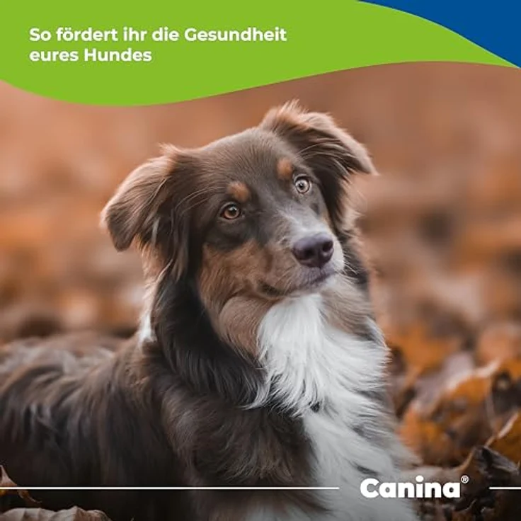Canina Barfer's Best, Ergänzungsfuttermittel für Hunde mit hochwertigen Vitalstoffen, 0,5 kg, hellbraun – Bild 4
