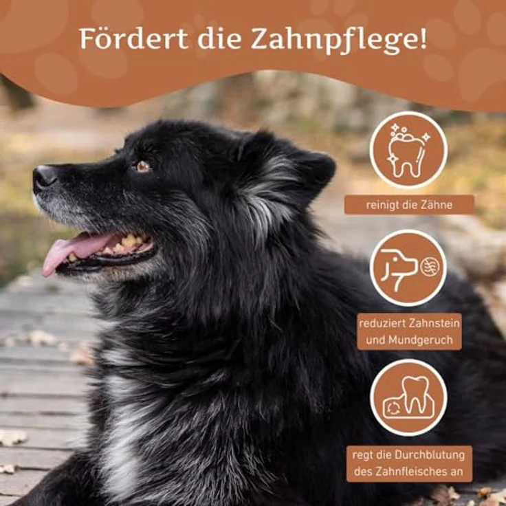 Wildfang® Kaffeebaum-Kauspielzeug für Hunde, unzerstörbar, natürliches Kauholz für aggressive Kauer & Welpen im Zahnwechsel, Größe L (25–45 kg) – Bild 4
