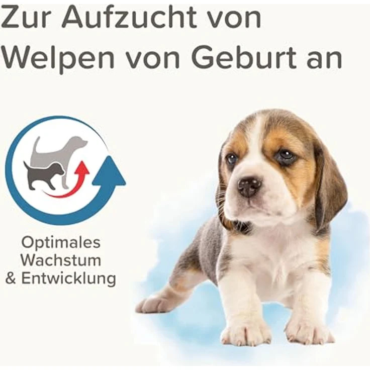Beaphar Lactol Aufzucht-Milch 500 g, vollwertiger Muttermilch-Ersatz für Welpen, hochverdaulich und reich an Vitaminen und Mineralien – Bild 5