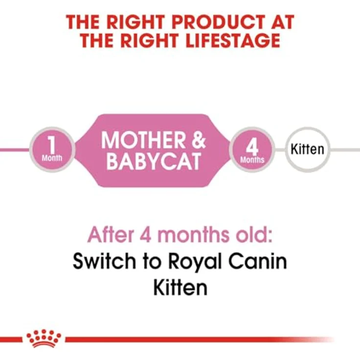Royal Canin Babycat 55172, 2 kg Katzen-Trockenfutter mit leicht auflösbaren Kroketten und Antioxidanzien zur Unterstützung des Immunsystems – Bild 5