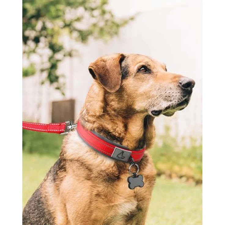 Joytale gepolstertes Hundehalsband aus Neopren für extra große Hunde, reflektierende Nähte, rot – Bild 3