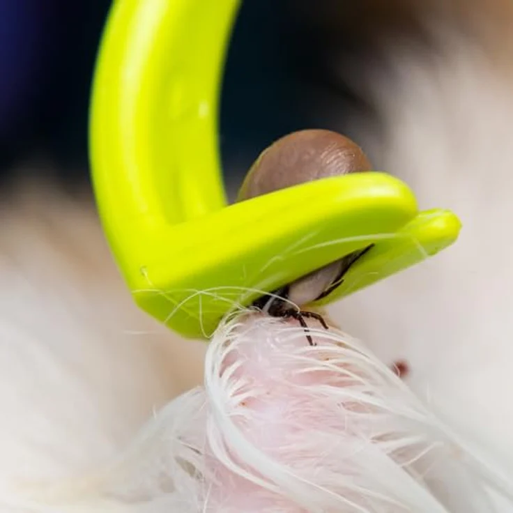 NatureAqua Zeckenzange, Zeckenentferner Set für Hund, Katze, Pferd & Menschen | 3 verschiedene Haken für alle Zecken-Größen | Schonende und schmerzarme Entfernung in Sekunden | Grün – Bild 5