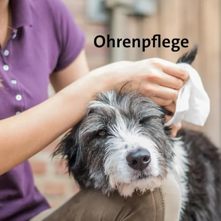 Kerbl Pfotenpflege BALLISTOL Tierpflegeöl Animal, 100 ml für empfindliche Haut und Pfotenpflege, hohe Verträglichkeit – Bild 11