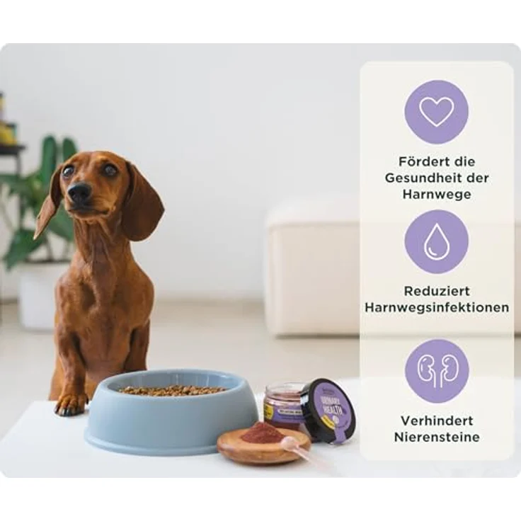 Wolf Belly Blasenentzündung Pulver für Hunde und Katzen, 100% natürlich mit Cranberry und Vitamin C, zur Unterstützung der Nierengesundheit, 60 g - Made in Europe – Bild 2