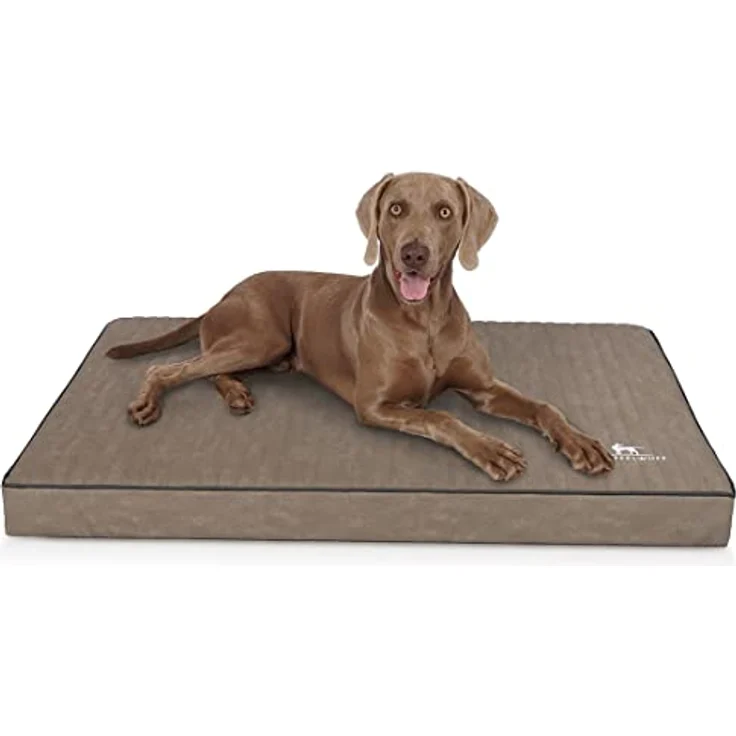 Knuffelwuff orthopädische Hundematte Palomino, XXL 115 x 80cm, aus Laser-gestepptem Kunstleder, rutschfester Unterboden, leicht zu reinigen, für große, mittelgroße und kleine Hunde, Farbe Stone – Bild 1