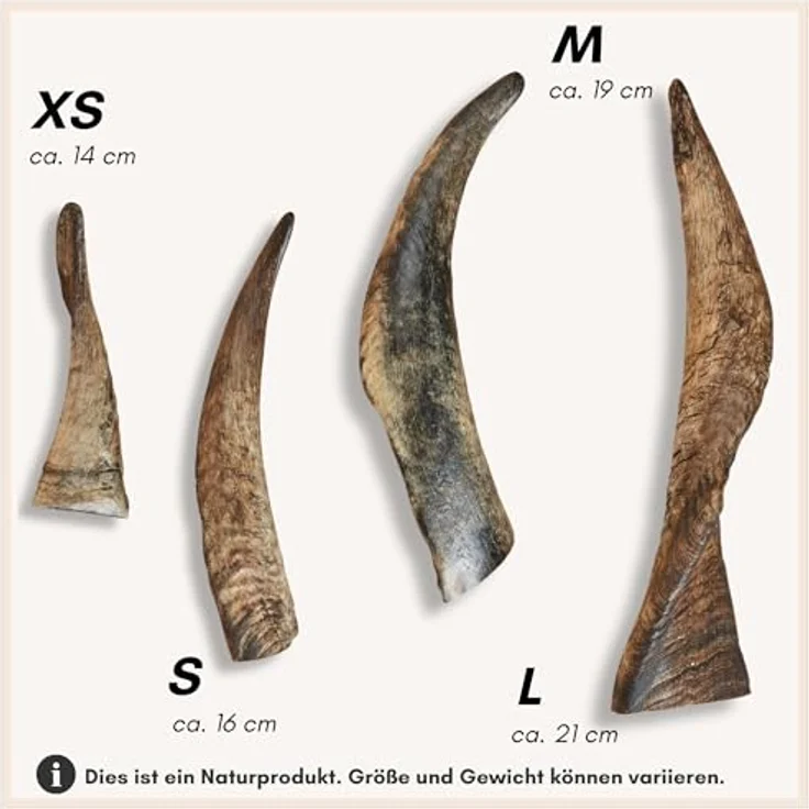 Supravit Kauhorn vom Schaf - Schafhorn XS, Natürliches, splitterfreies Hundespielzeug zur Zahnpflege, 100% naturbelassen – Bild 7