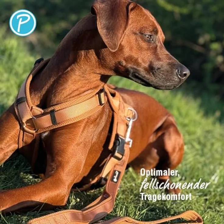 Petlando Brustgeschirr Mesh Y-Comfort XL Cognac (Halsumfang 60-108 cm, Brustumfang 68-100 cm) – Bild 5