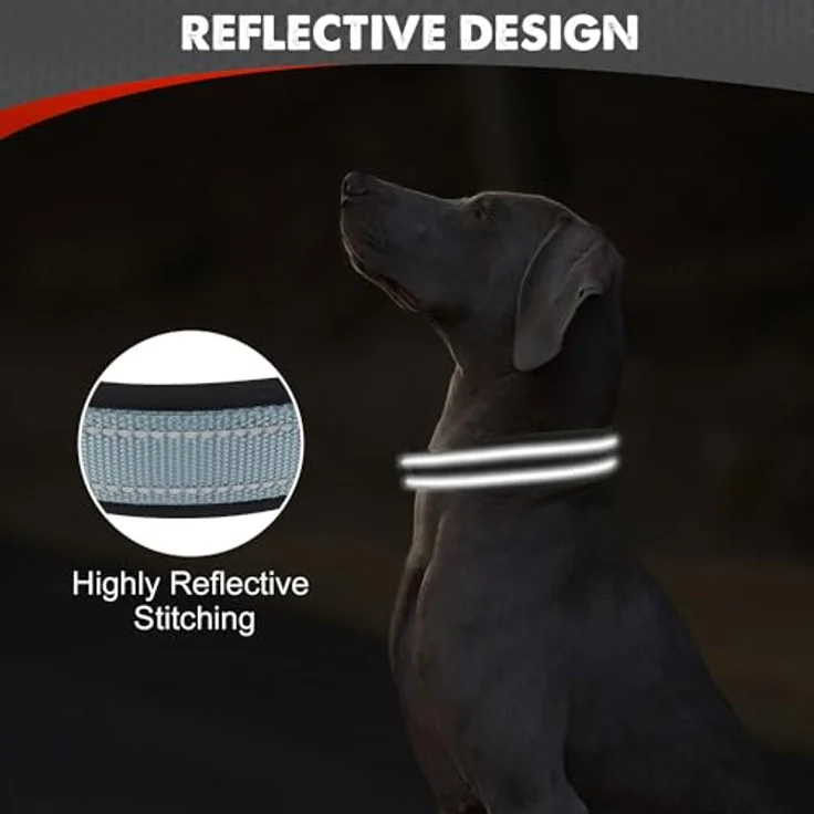 Joytale Hundehalsband, Gepolstert aus Neopren mit reflektierenden Nähten, für kleine Hunde, grau – Bild 4