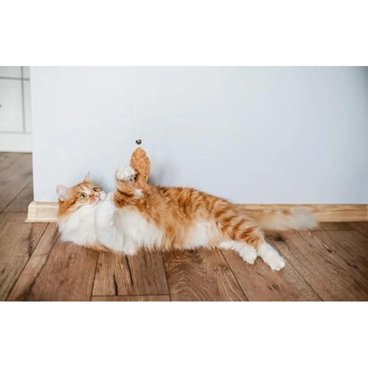 Josera Paté Kitten, Katzen-Nassfutter, 16x85g, vielfältige Geschmackssorten – Bild 4