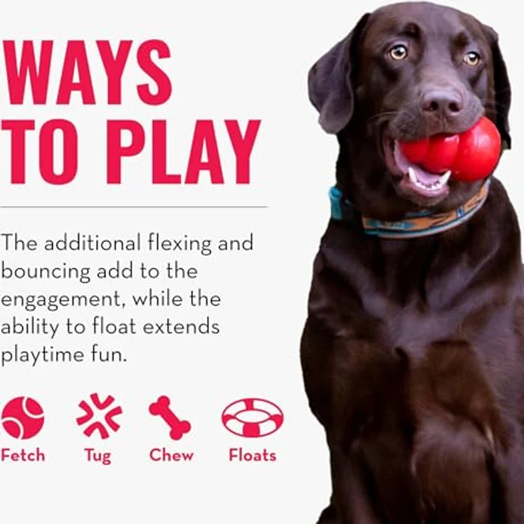 KONG Safestix M, Hundespielzeug aus robustem Kunststoff, schwimmfähig, zufällige Farbwahl – Bild 5