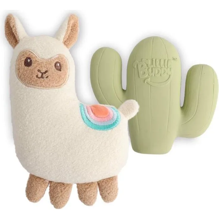 All for Paws AFP Little Buddy Fiesta, 2er Pack Plüschspielzeuge für kleine bis mittelgroße Hunde, langlebig und ungiftig