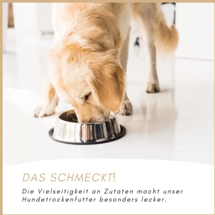 Supravit Mix Super Hundefutter, 5 kg, ausgewogene Trockenmischung, hergestellt in Deutschland – Bild 4