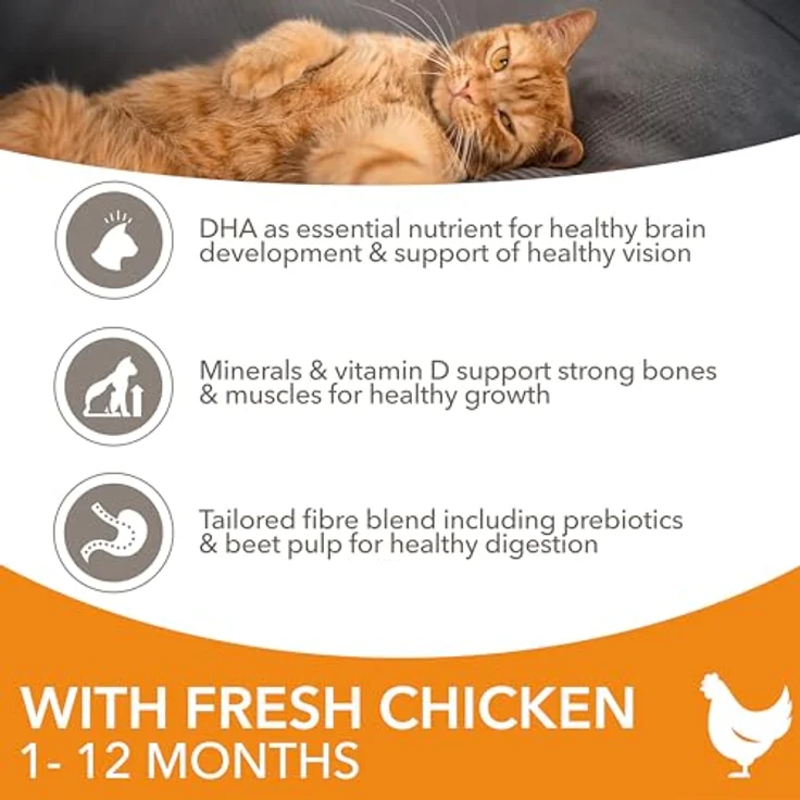 IAMS Katze Junior Huhn, Trockenfutter für junge Katzen, 800g – Bild 4