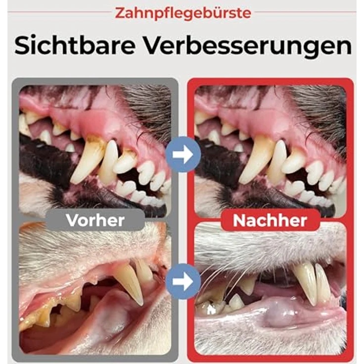 JAYU PET Zahnpflegebürste, weiche Borsten für Hunde und Katzen, ergonomisches Design zur effektiven Zahnsteinentfernung – Bild 2