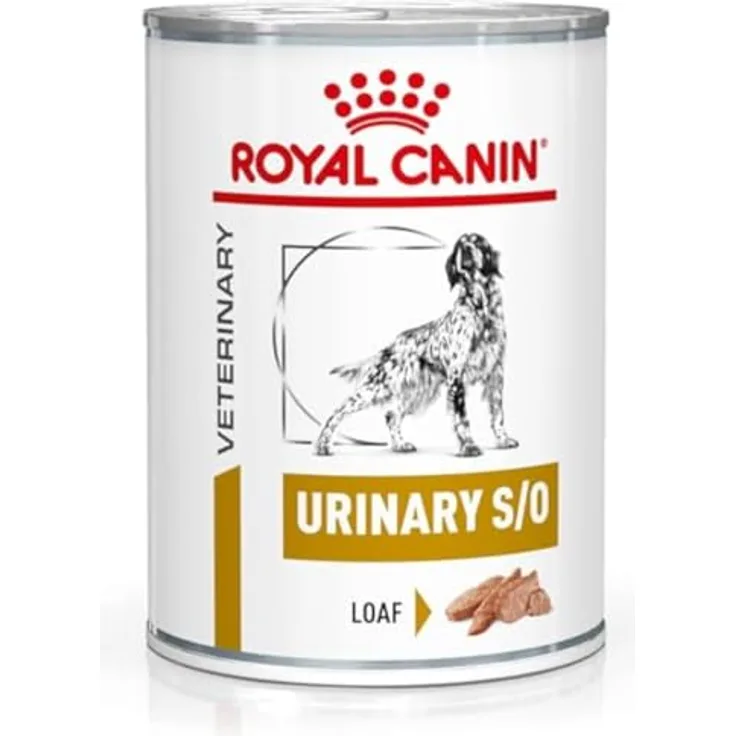 Royal Canin Veterinary Urinary S/O Canine Mousse, Diät-Alleinfuttermittel für ausgewachsene Hunde, 12 x 410 g, zur Unterstützung bei Struvitsteinen und zur Urinverdünnung