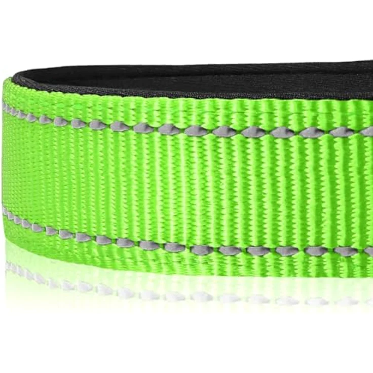 Joytale Halsband Hund, Gepolstertes Neopren Nylon Halsband, Verstellbar und Reflektierend für Kleine Hunde, S, Grün – Bild 4