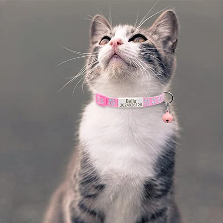 Senristar Personalisiertes 2er Set Reflektierende Katzenhalsbänder mit Namensschild und Glocke, Sicherer Breakawayverschluss, Schwarz/Silber, Verstellbar für Erwachsene Katzen und Welpen – Bild 5