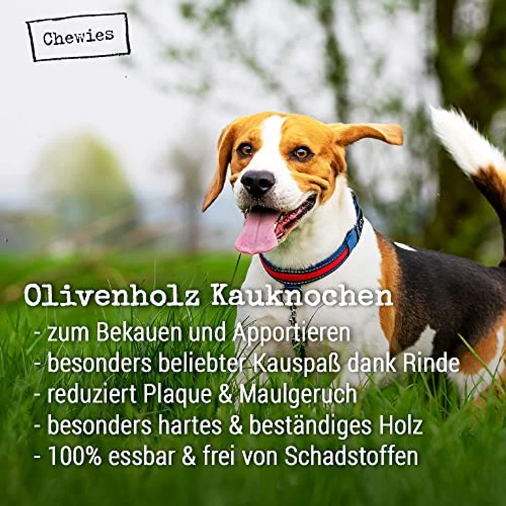Chewies Kau-Knochen aus Olivenholz, 100% natürliches Kauspielzeug für Hunde bis 3kg, Größe XXS, Zahnreinigung und Spielspaß – Bild 4