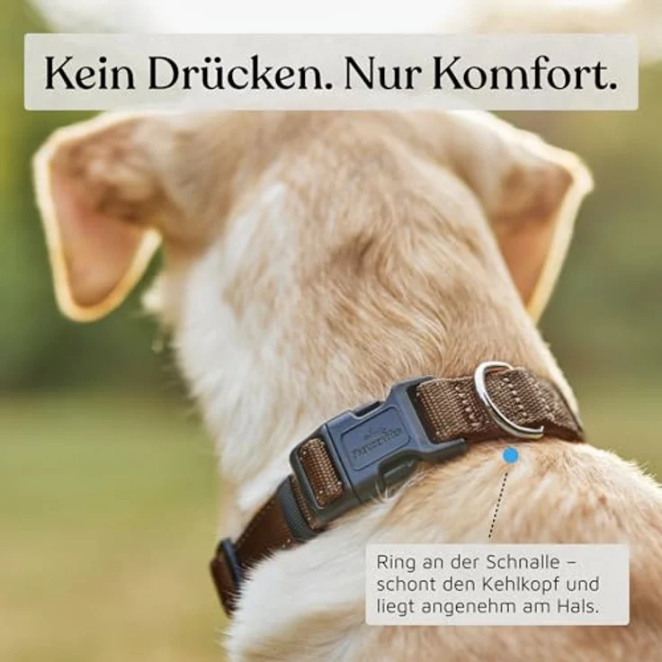 FREUDENTIER Hundehalsband, weich gepolstert mit Neopren, reflektierend & robust, für kleine bis große Hunde, Chocolate, 30-40CM – Bild 3