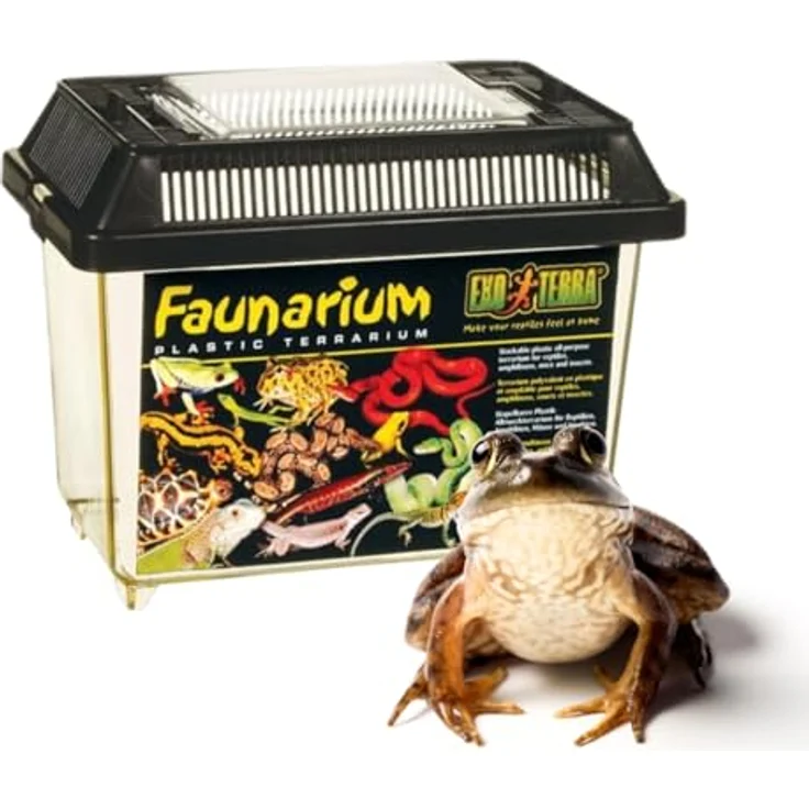 Exo Terra Faunarium, Allzweckbehälter für Reptilien, Amphibien und Insekten, klein 23 x 16,5 x 15,5 cm, transparente Plastiktür, leicht zu reinigen – Bild 5