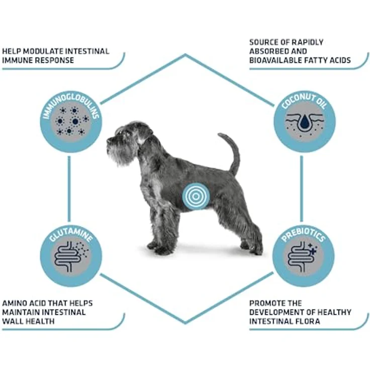 Affinity Advance Veterinary Diets Gastroenteric, Trockenfutter für Hunde mit gastrointestinalen Störungen, 3 kg - mit Immunglobulinen, Kokosöl und Präbiotika – Bild 5